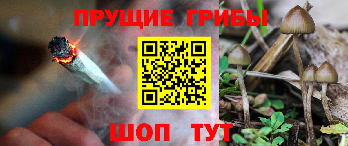 ГАШИШ  Марихуана  Рубцовск  Вход с VPN  Меф МЯУ МЯУ  